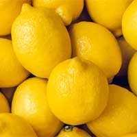 Lemon Extract - Antioxidants protect the ear